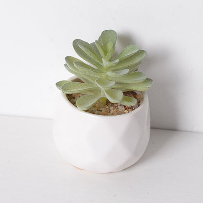 Artificial succulent plants wholesale green plants