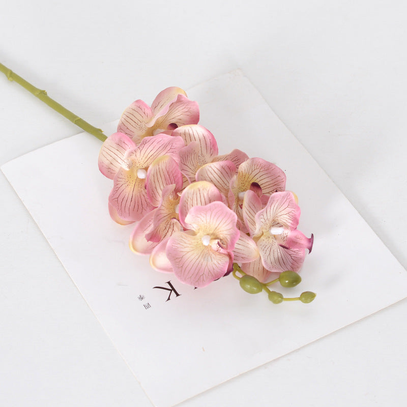 9 autumn color Phalaenopsis artificial flowers