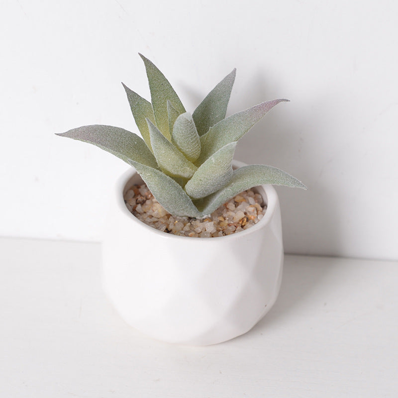Artificial succulent plants wholesale green plants