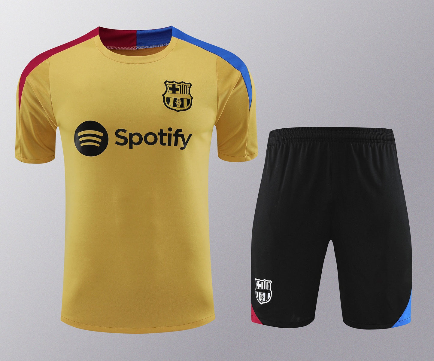 24-25 Napoli Inter Portugal Sleeveless Training Kit Shorts Americas Set