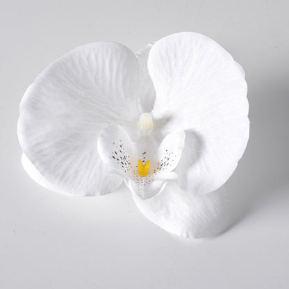 Filme de simulação de pétalas de cabeça de flor de orquídea Phalaenopsis 