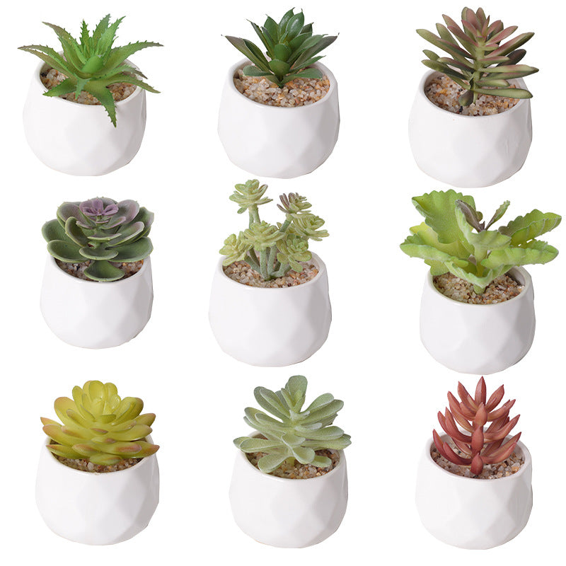 Artificial succulent plants wholesale green plants
