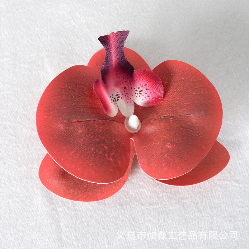 Filme de simulação de pétalas de cabeça de flor de orquídea Phalaenopsis 