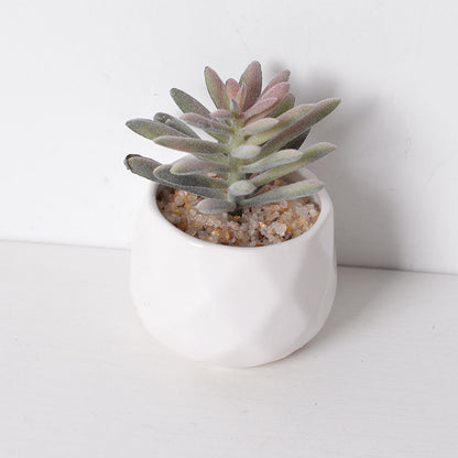 Artificial succulent plants wholesale green plants