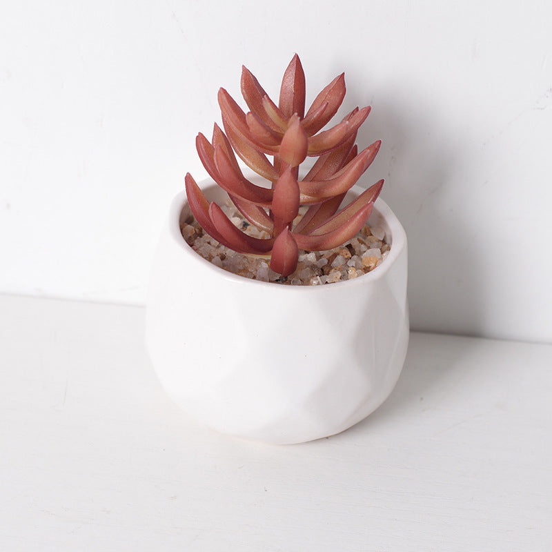 Artificial succulent plants wholesale green plants