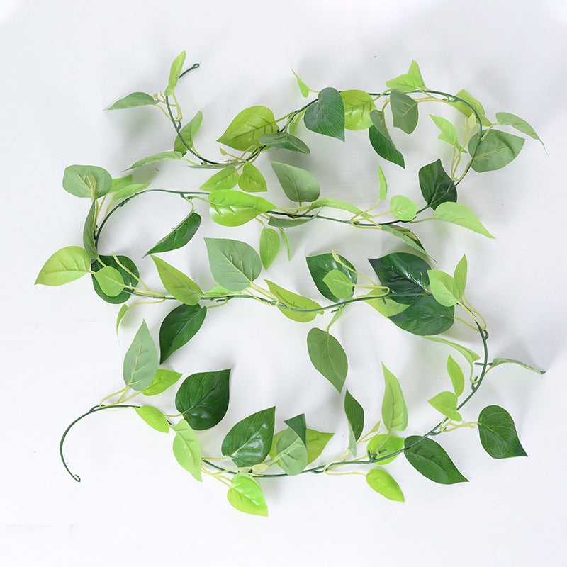 Simulation film green radish vines