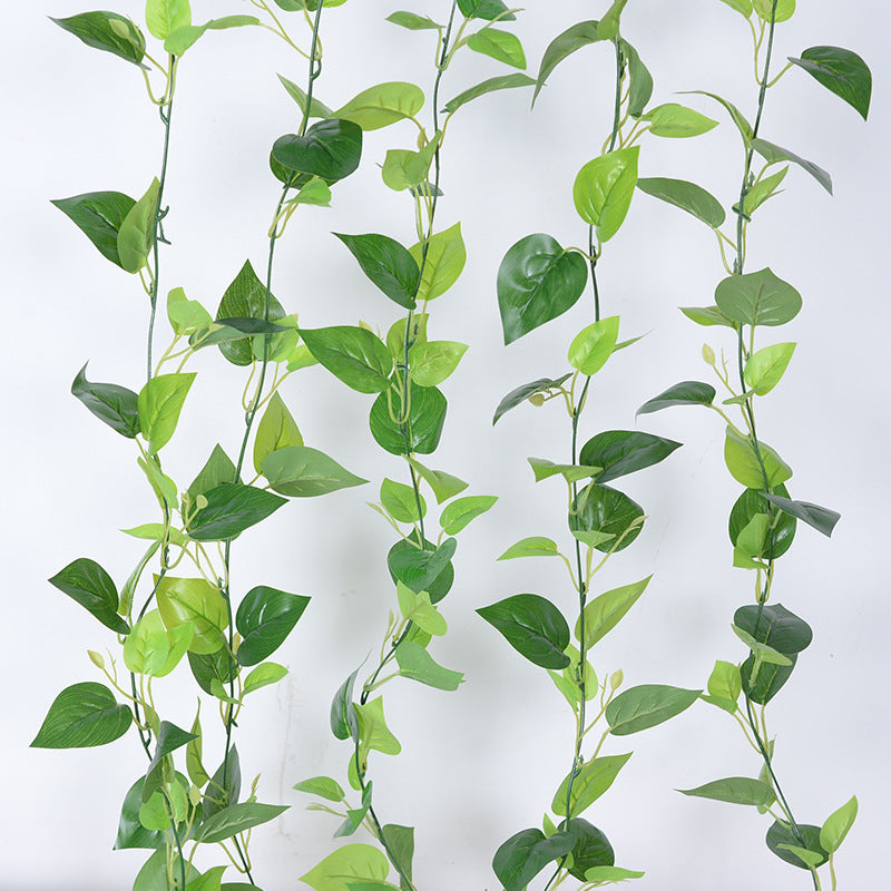 Simulation film green radish vines
