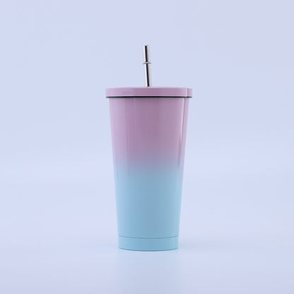 304 Stainless Steel Straw Bottle
