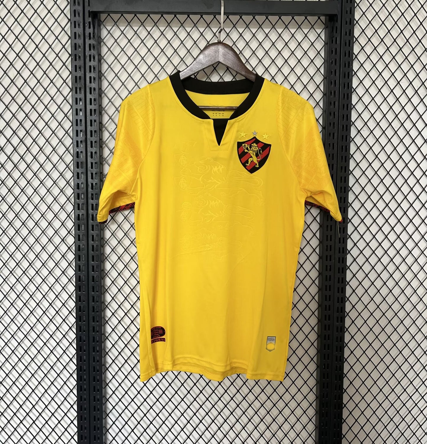 24-25 Brazil League Bahia Botafogo Recife Cuiab¨¢ Home Away Jersey