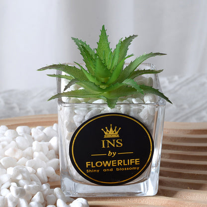 Artificial succulent plants wholesale