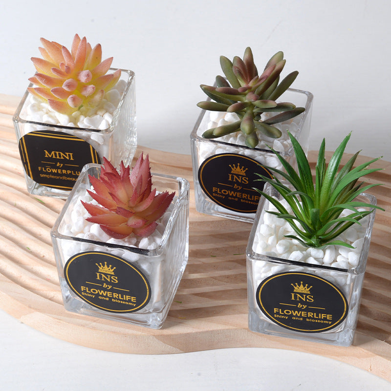 Artificial succulent plants wholesale