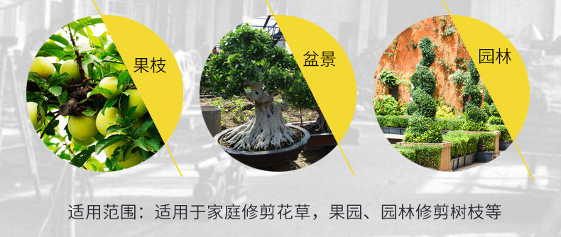 German sk5 fruit tree coarse branch pruning shears