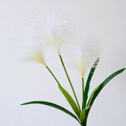 Simulación de 3 flores de pasto de caña. 