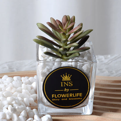 Artificial succulent plants wholesale