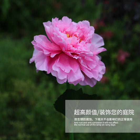 Solar Peony Landscape Light