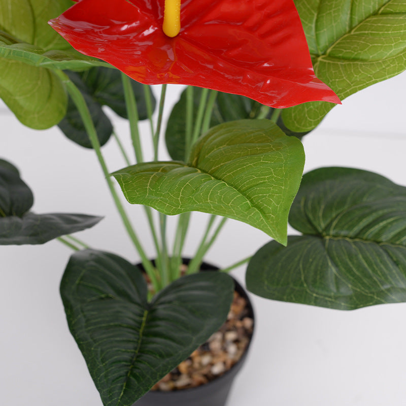 Simulación de 18 grandes flores de anturio rojo. 