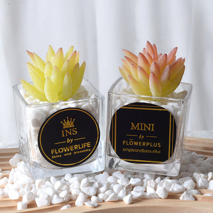 Artificial succulent plants wholesale