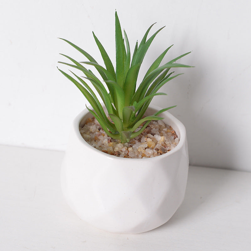 Artificial succulent plants wholesale green plants