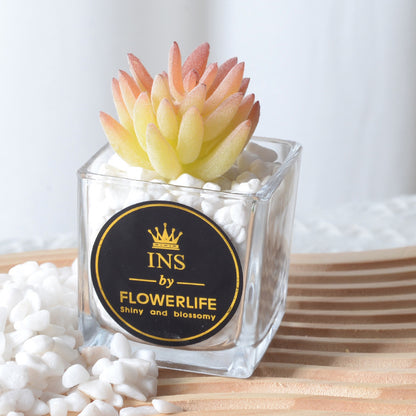 Artificial succulent plants wholesale