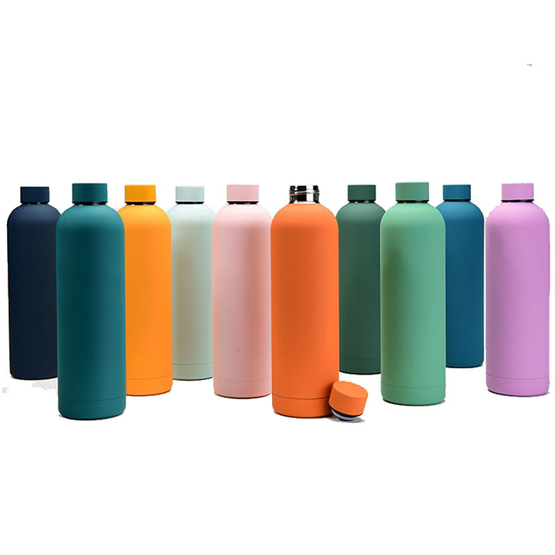 Double stainless steel home water bottle