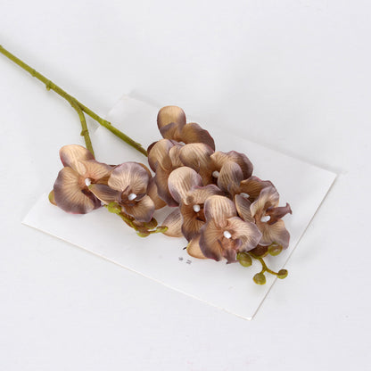 9 autumn color Phalaenopsis artificial flowers