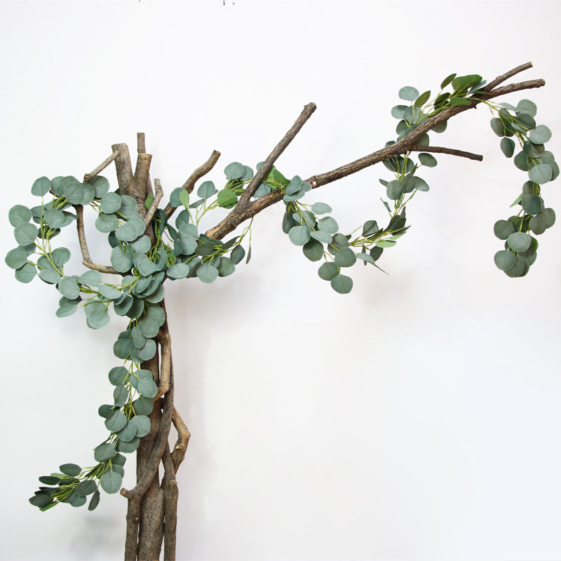 Simulation eucalyptus leaf vine