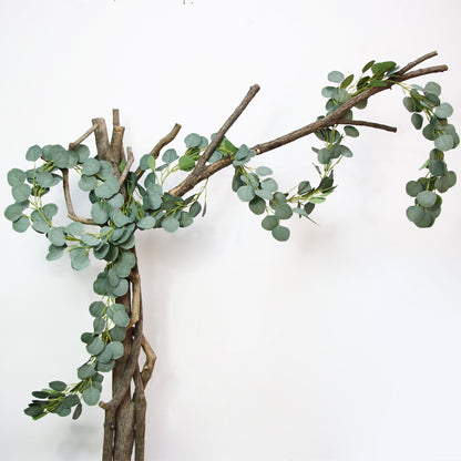 Simulation eucalyptus leaf vine