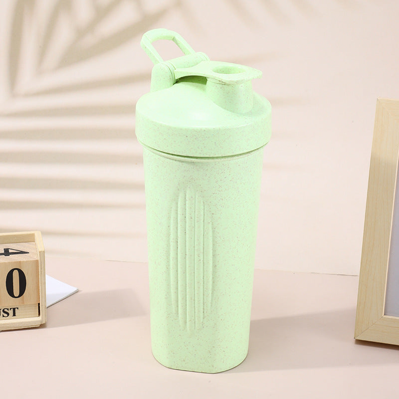 600Ml Wheat Straw Shaker Cup