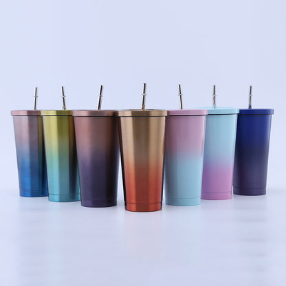 304 Stainless Steel Straw Bottle