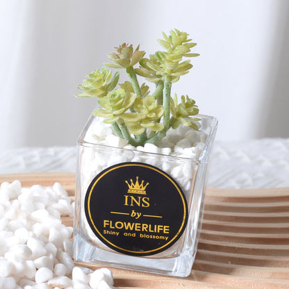 Artificial succulent plants wholesale