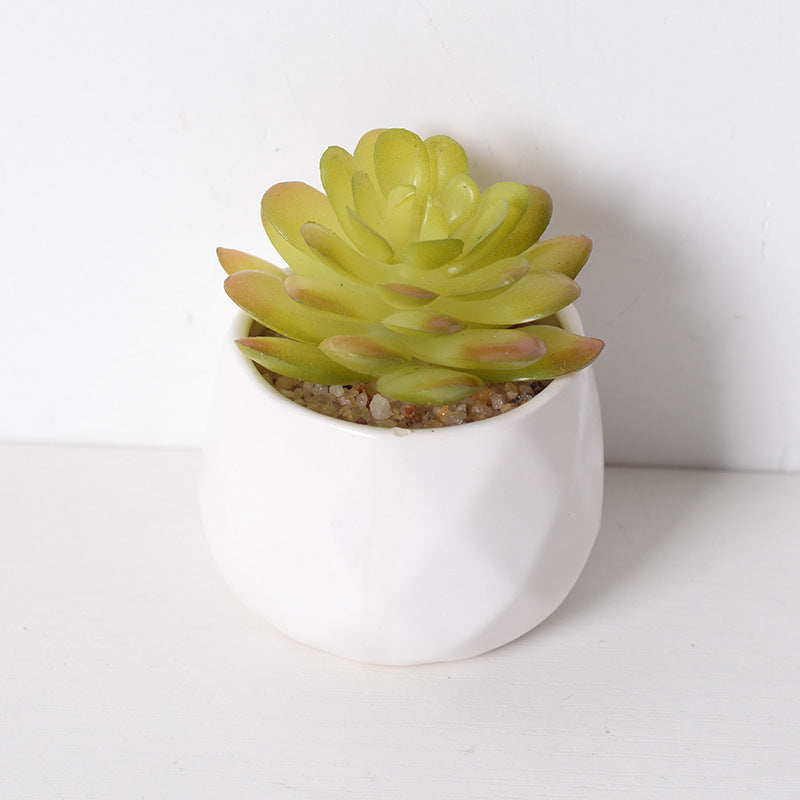 Artificial succulent plants wholesale green plants