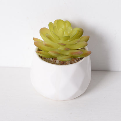 Artificial succulent plants wholesale green plants