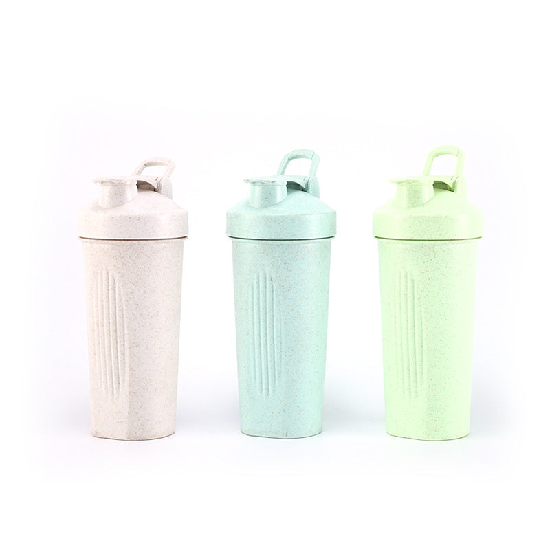 600Ml Wheat Straw Shaker Cup