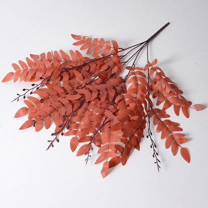 5 manojos de hojas de Sophora japonica 