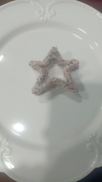 Autumn Winter Star Hair Clip