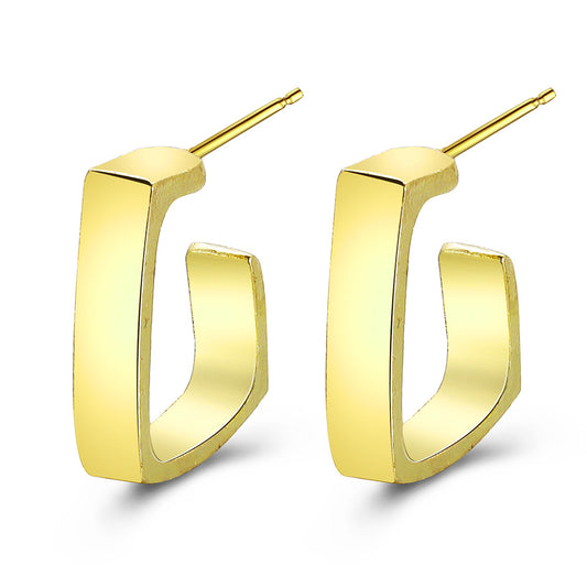 Fashion Geometric Metal Earrings