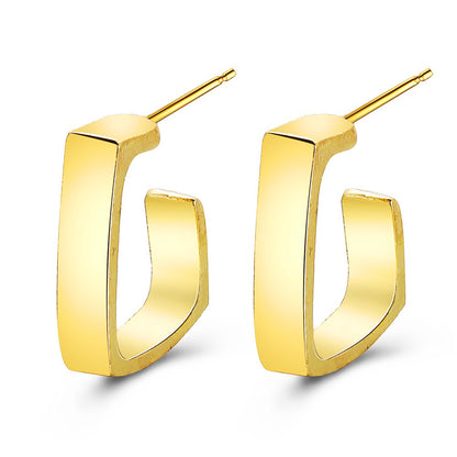 Fashion Geometric Metal Earrings