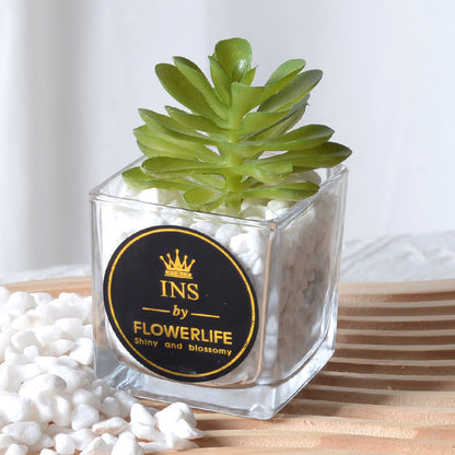 Artificial succulent plants wholesale