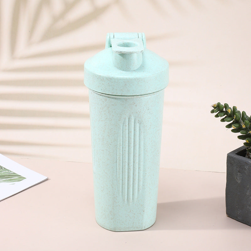 600Ml Wheat Straw Shaker Cup