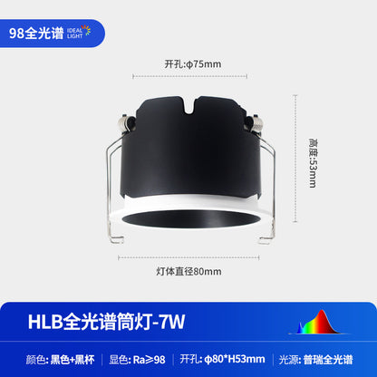 Full Spectrum Downlight