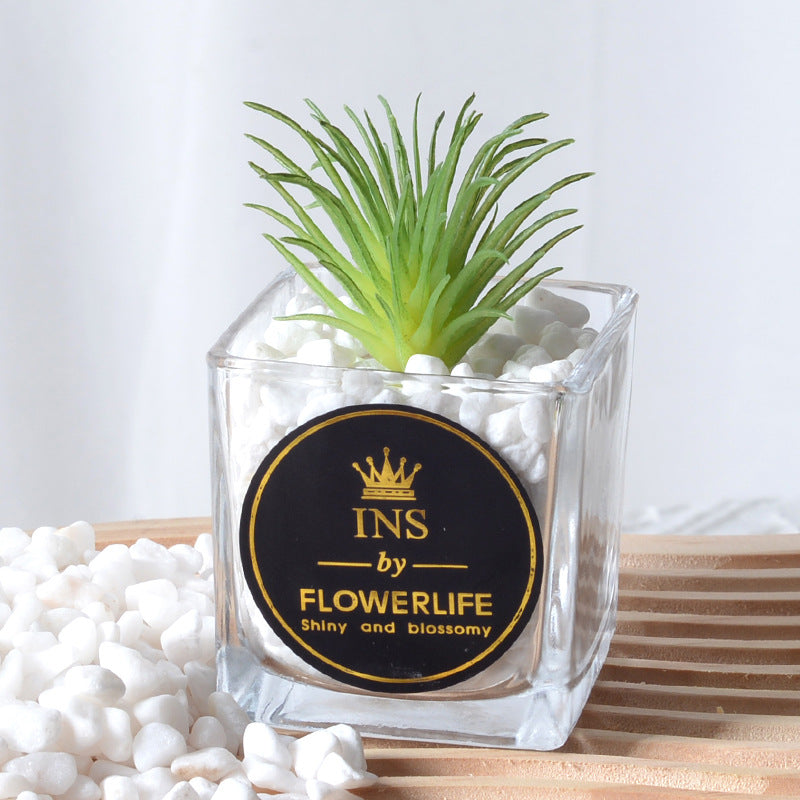 Artificial succulent plants wholesale