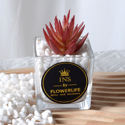 Artificial succulent plants wholesale