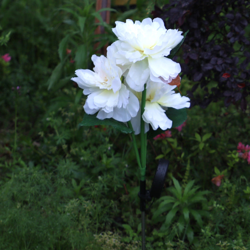 Solar three-head peony flower lamp