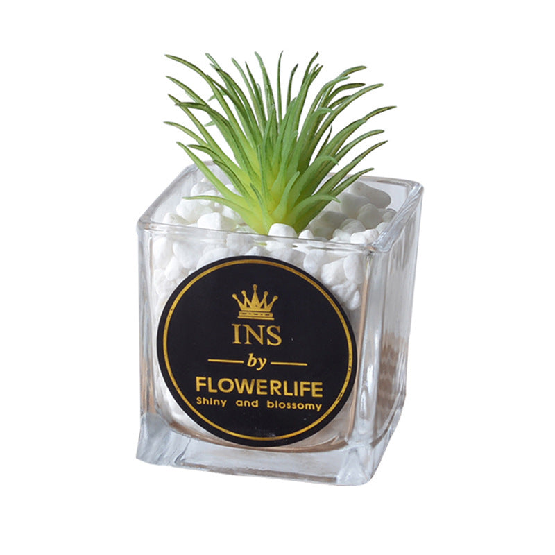 Artificial succulent plants wholesale