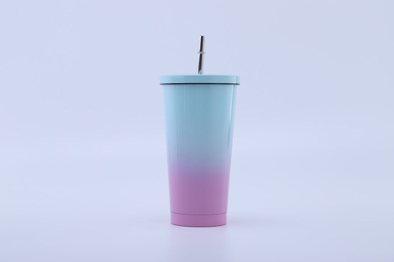 304 Stainless Steel Straw Bottle