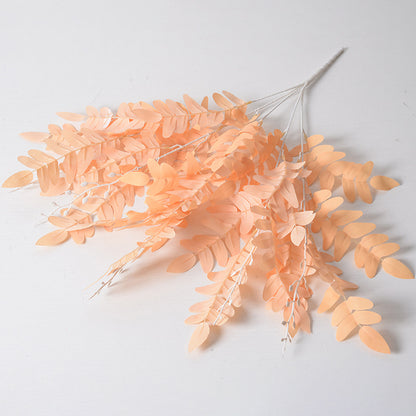 5 manojos de hojas de Sophora japonica 