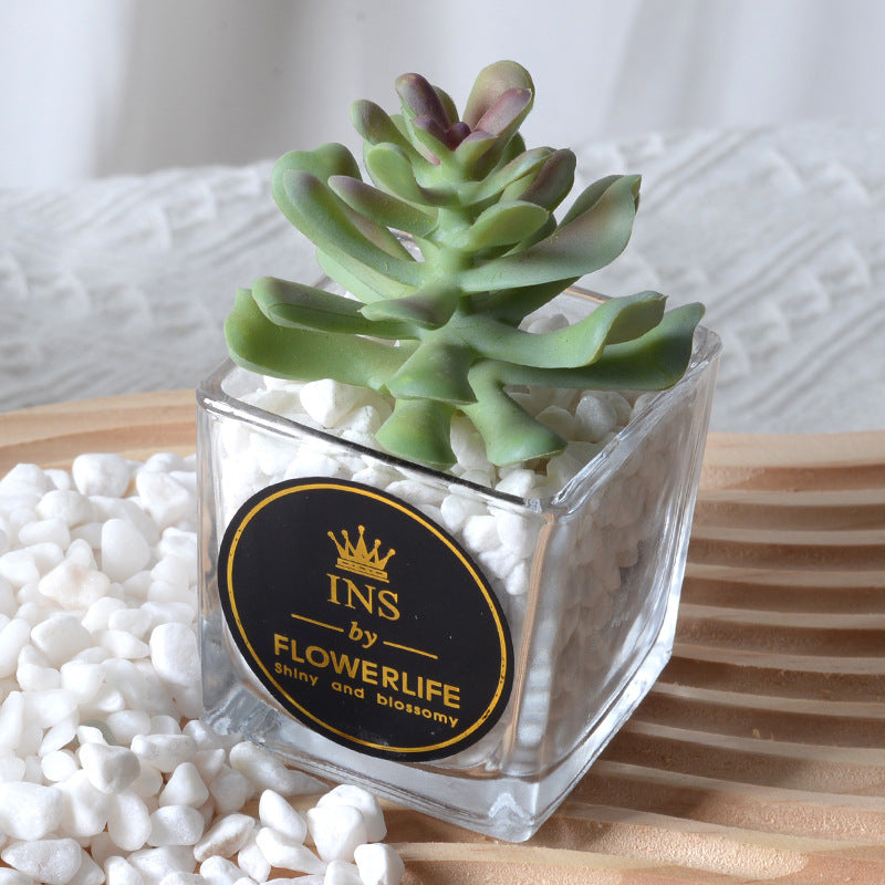 Artificial succulent plants wholesale
