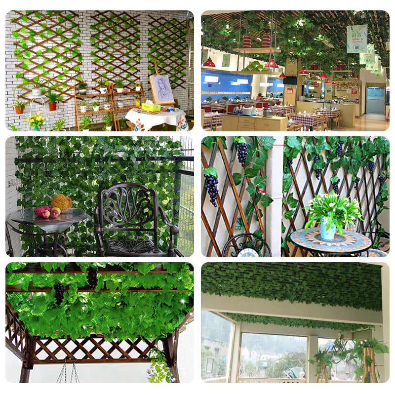 36 green leaves of vines, grape leaves, green radish leaves