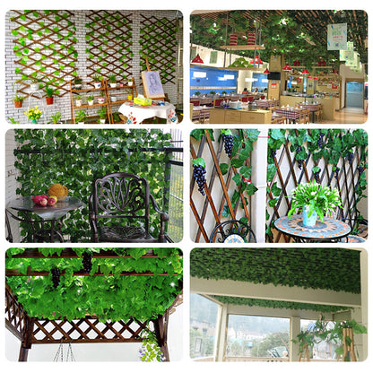 36 green leaves of vines, grape leaves, green radish leaves