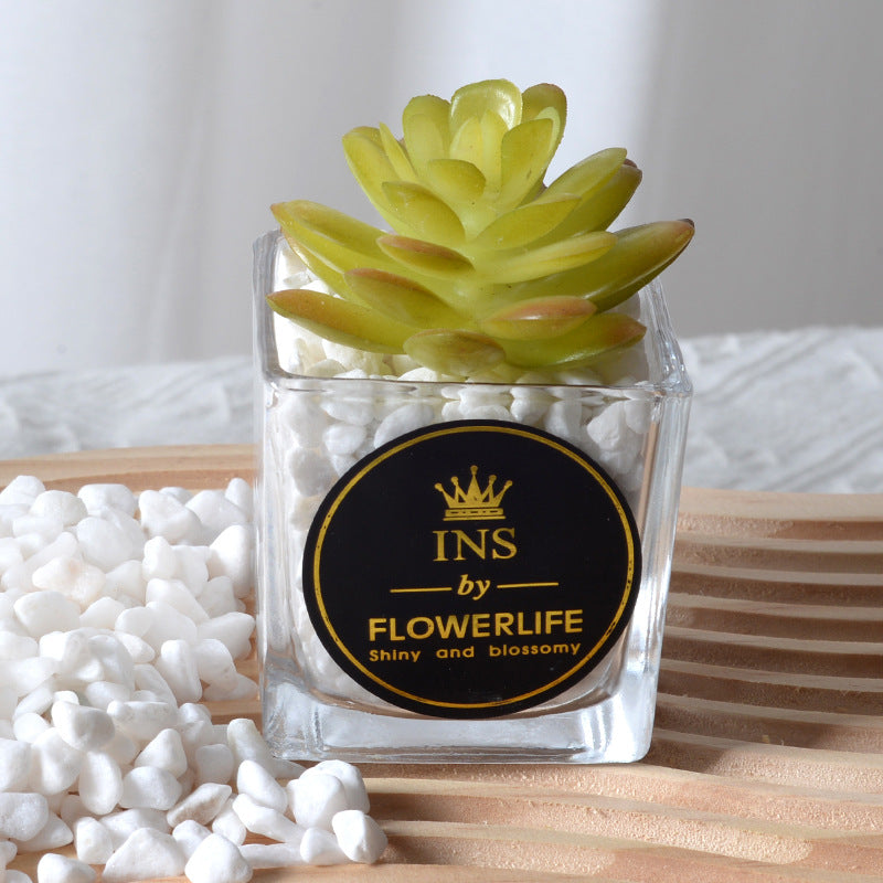 Artificial succulent plants wholesale